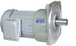 MOTOR GIẢM TỐC CHENTA-TAIWWAN