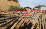 Cột chống, cọc gỗ