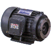 motor cốt âm dùng cho bơm thủy lực