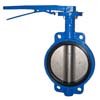 Butterfly Valves