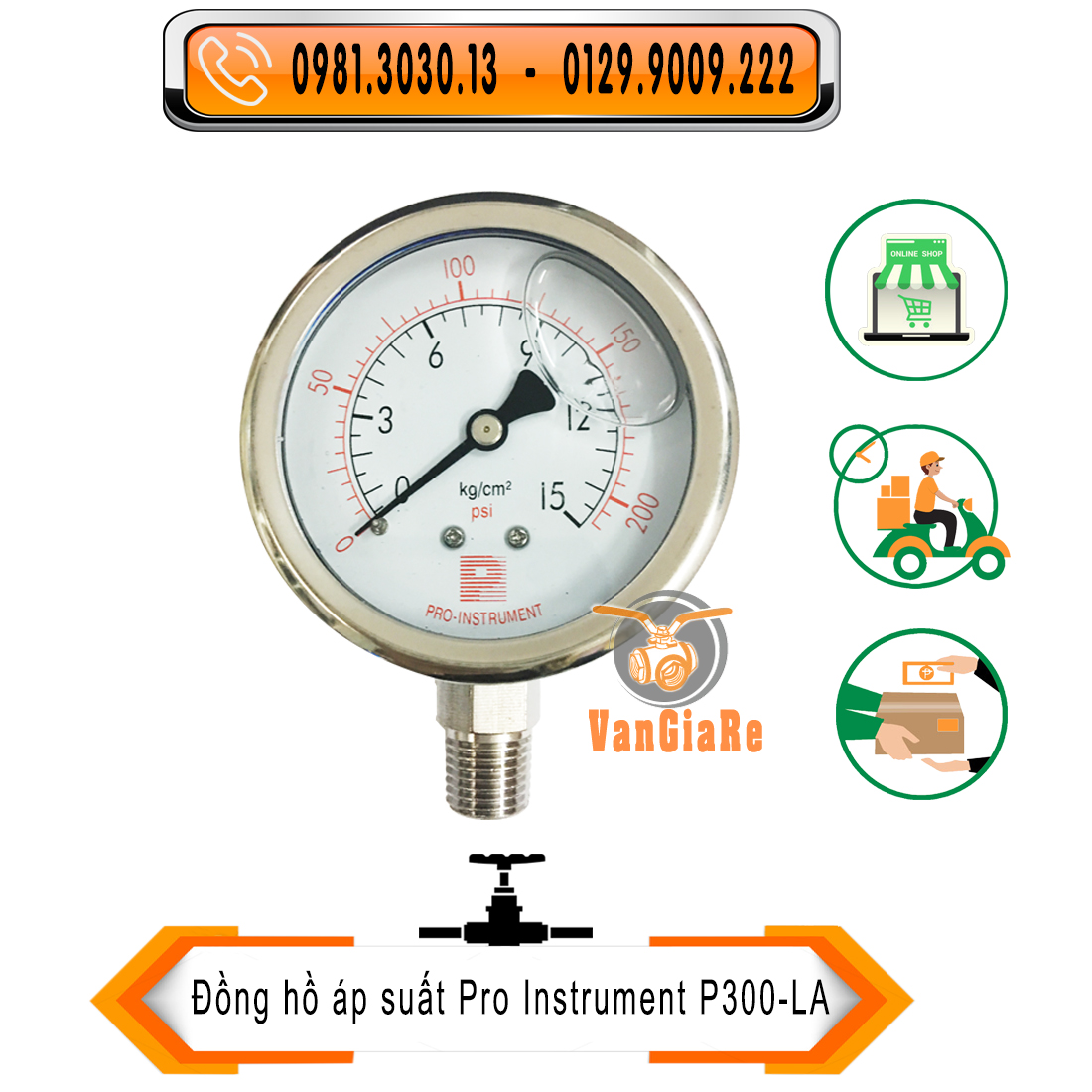 Đồng hồ áp suất có dầu hiệu P (Pro-Instrument)