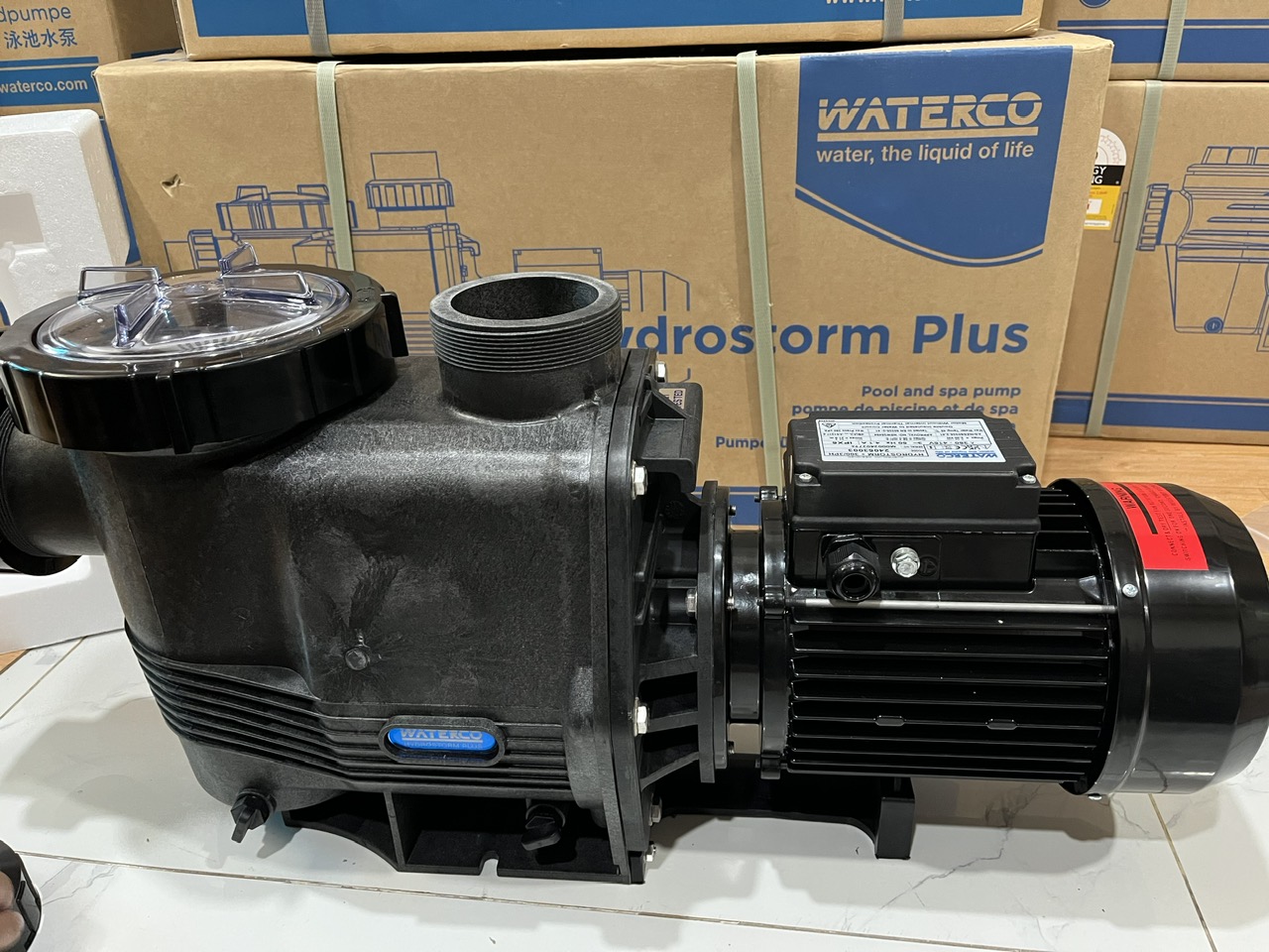 Máy bơm hồ bơi Davey - Waterco