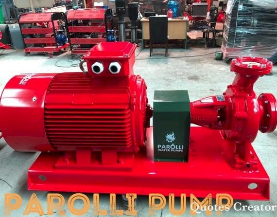 Máy bơm Điện 180HP Parolli PS 150-250/1320 (trục rời)