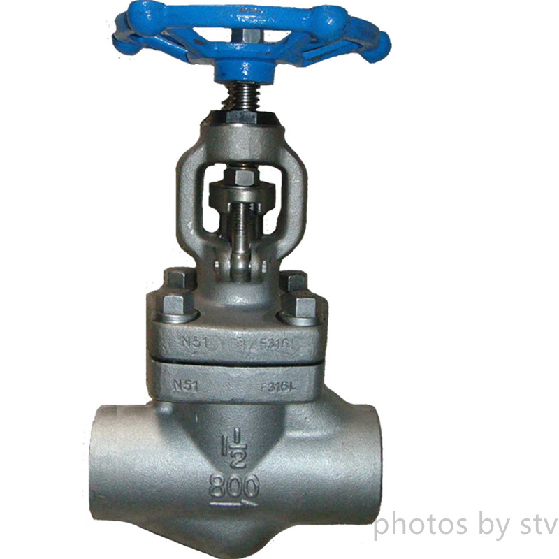 ASTM A182 F316L Globe Valve, 800 LB, 1 Inch, SW