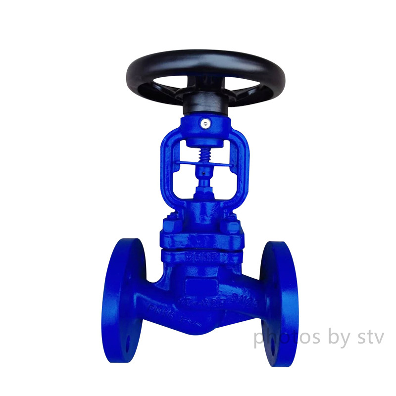 DIN 3356 Bellows Seal Globe Valve,GS-C25 Body ,DN25,PN16