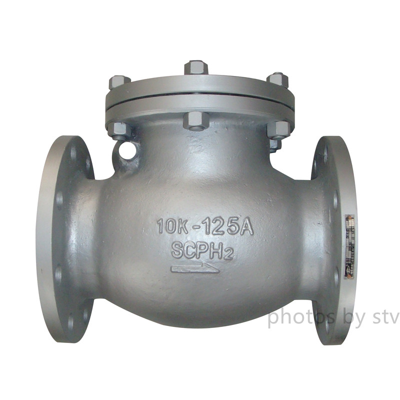 SCPH2 Swing Check Valve, 10K, 125A,Flange End