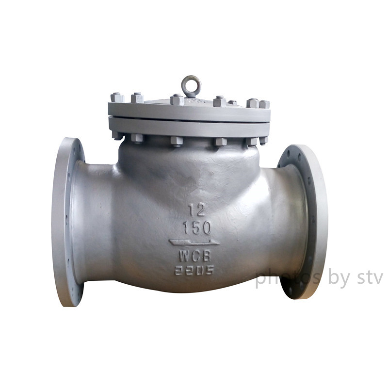 Swing Check Valve Class 150LB,5 Trim, 12 Inch, Raised Face