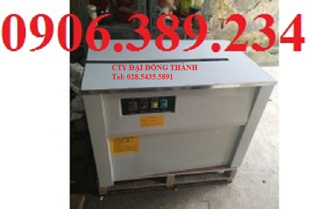 Đơn vị cung cấp máy đóng dây đai chuyên nghiệp, đảm bảo chất lượng và uy tín