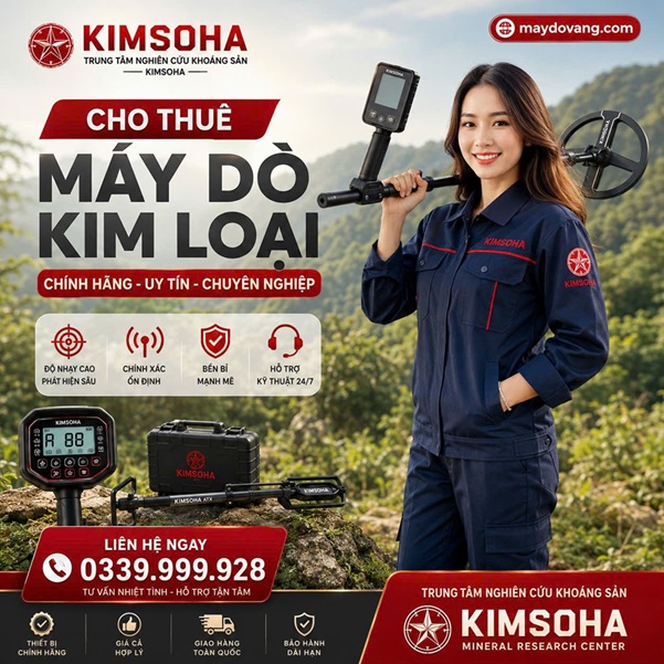 THUÊ MÁY DÒ KIM LOẠI CHUYÊN DỤNG TẠI HẢI PHÒNG