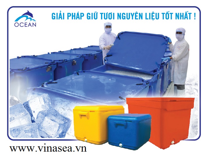 Biển Việt - nhà cung cấp thùng nhựa cách nhiệt Malaysia tại Việt Nam