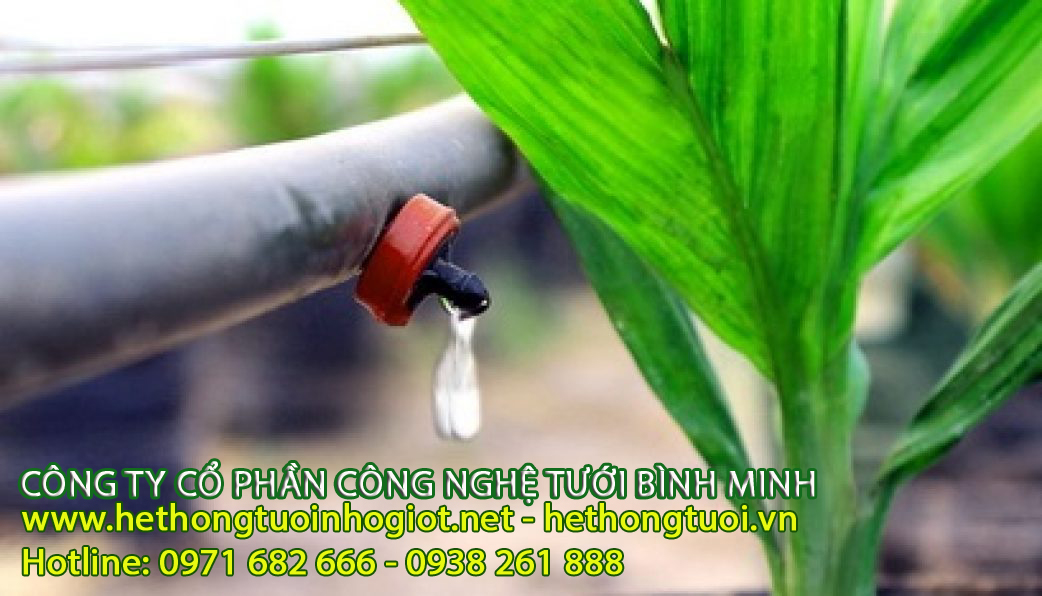 Mô hình tưới nhỏ giọt tiết kiệm nước cho cây cà phê, hệ thống tưới nhỏ giọt cây trái, tưới nhỏ giọt cho cây camCông ty nhập khẩu hệ thống tưới nhỏ giọt Azud Tây Ban Nha, công ty nhập khẩu hệ thống tưới nhỏ giọt Azud tại hà nội, tưới nhỏ giọt hà nội