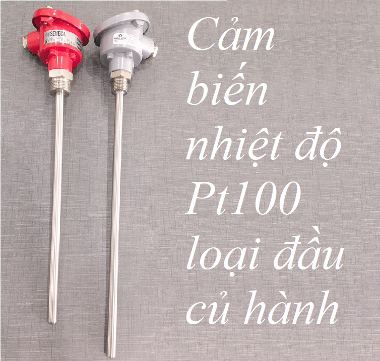 Cảm biến nhiệt độ Pt100 đầu củ hành