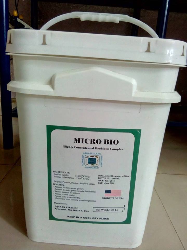 MICRO BIO - MEN VI SINH XỬ LÝ ĐÁY