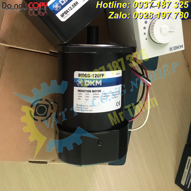 9CIDGE-120F2P – Động cơ cảm điện – Đại lí cung cấp DKM Motor Vietnam chính hãng