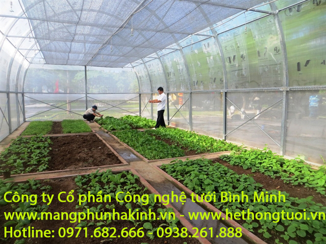 màng phủ đất trong nhà màng, bạt trải nền hà nội, giá bạt trải nền nhà kính