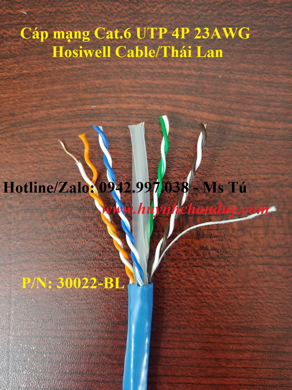 Cáp mạng LAN Cat.6 UTP Horizontal – Cat.6 UTP Horizontal Cable