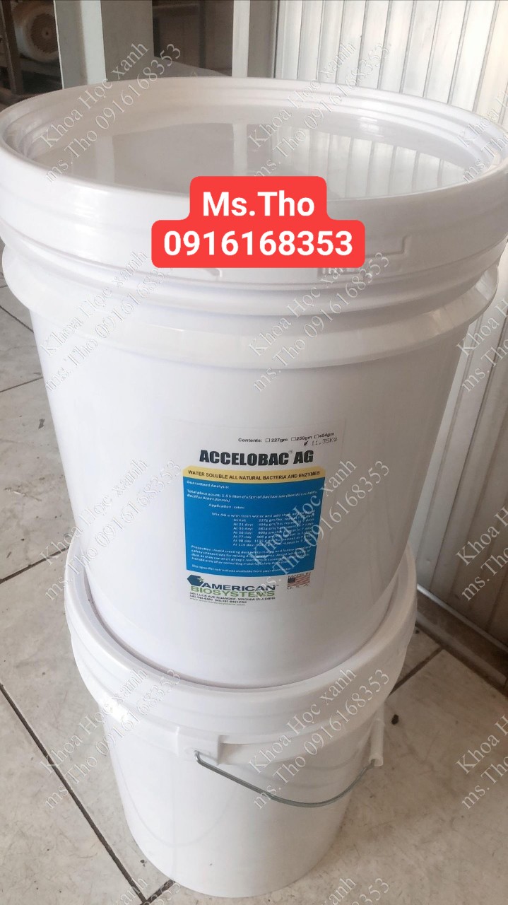 ACCELOBAC®:VI SINH MỸ XỬ LÝ CHẤT THẢI HỮU CƠ HIỆU QUẢ