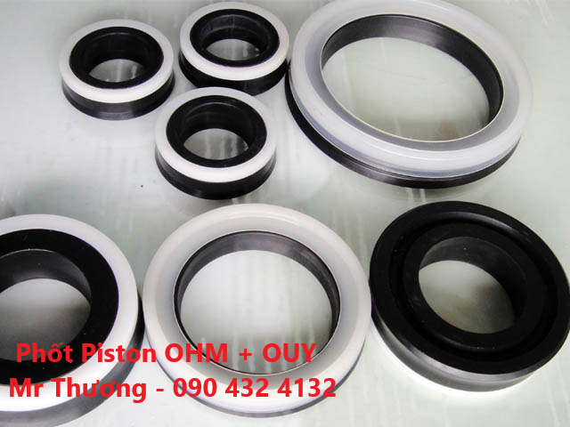 Phốt Piston OHM