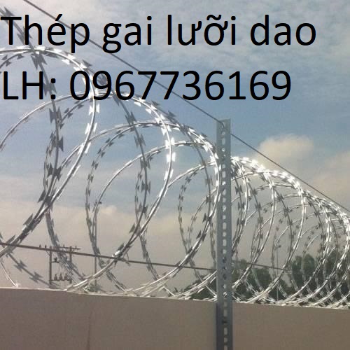 Dây thép gai hình dao