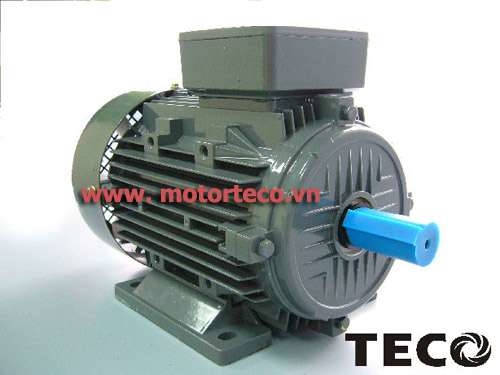 Động cơ Teco AESV1S 4P 1HP