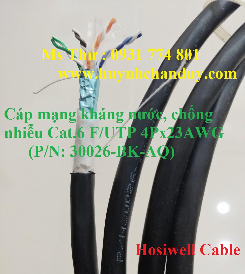 Cat6 ngoài trời