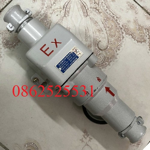 phích cắm chống nổ BCX53-30/X