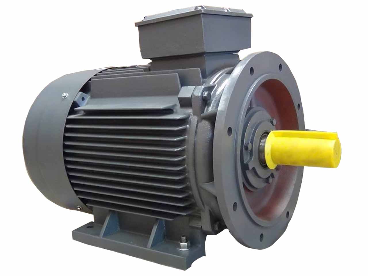 Motor điện 75kw mặt bích chân đế 3 pha