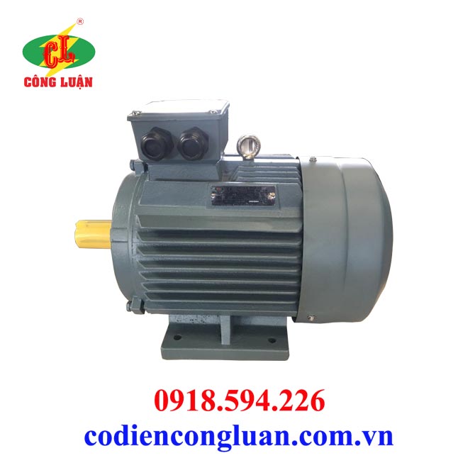 Motor-động cơ điện 75kw chân đế 3 pha