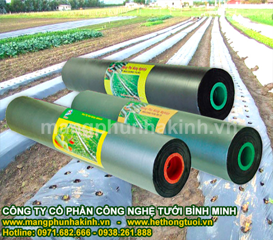 Màng phủ nông nghiệp bình minh, màng phủ nông nghiệp giá rẻ, đại lý màng phủ nông nghiệp