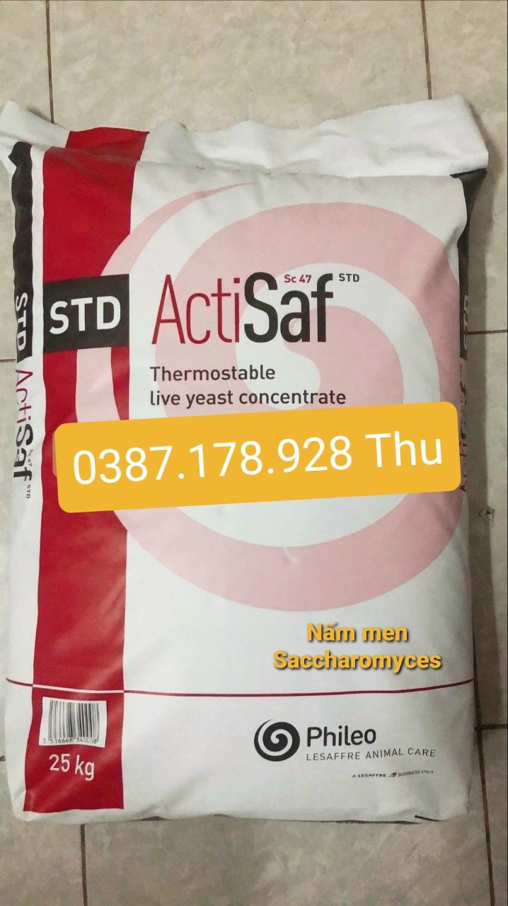 ACTISAF Nấm men Saccharomyces, tăng miễn dịch tối ưu