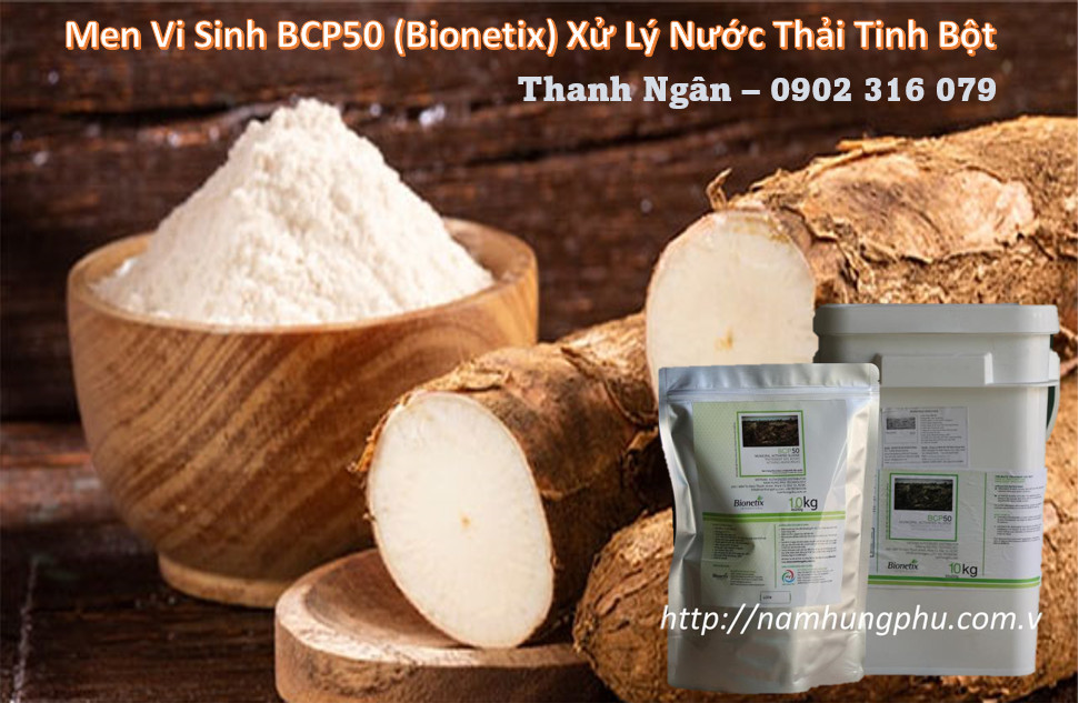 men vi sinh BCP50 xử lý nước thải sinh hoạt, tinh bột