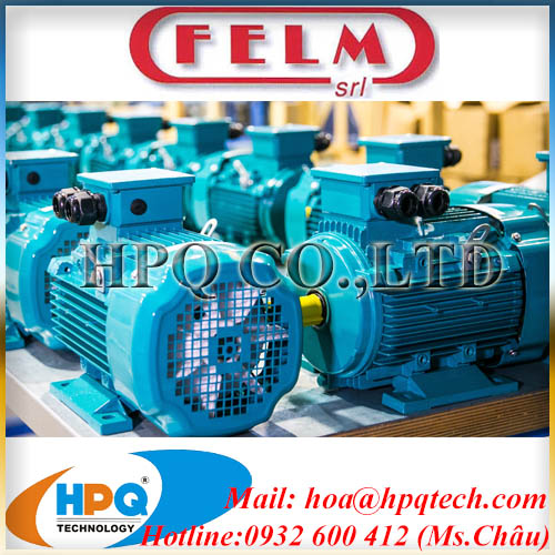 Nhà cung cấp Felm Electric Motor