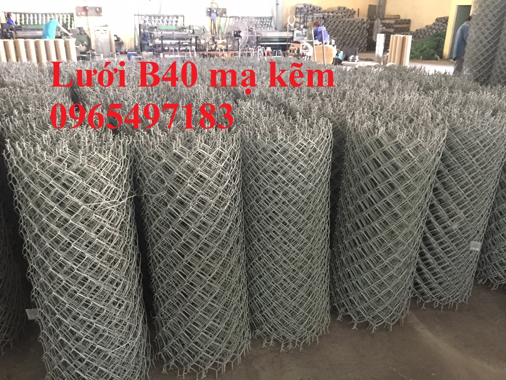 Lưới B40 mạ kẽm,  mắt 50x50mm, 60x60mm