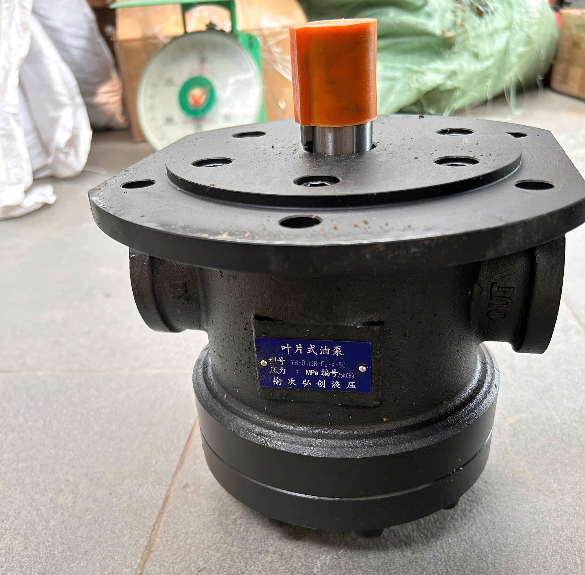 VANE PUMP YB-B113B-FL-X-50
