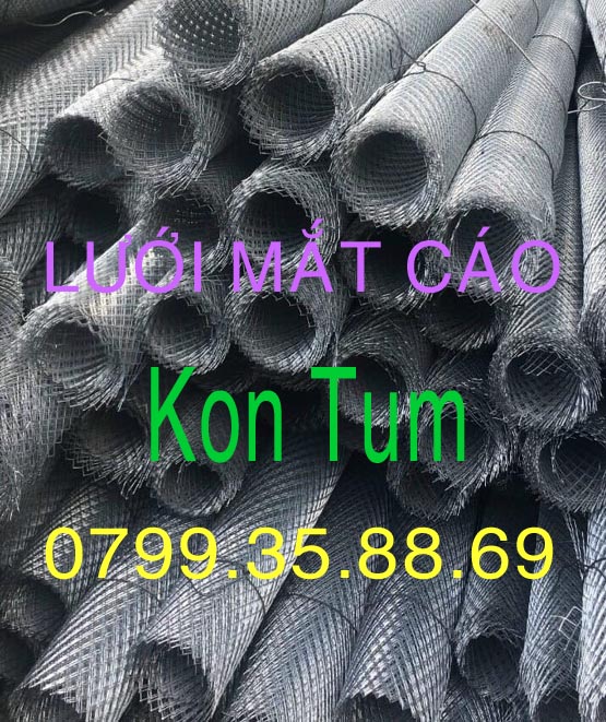 Lưới mắt cáo Kon tum