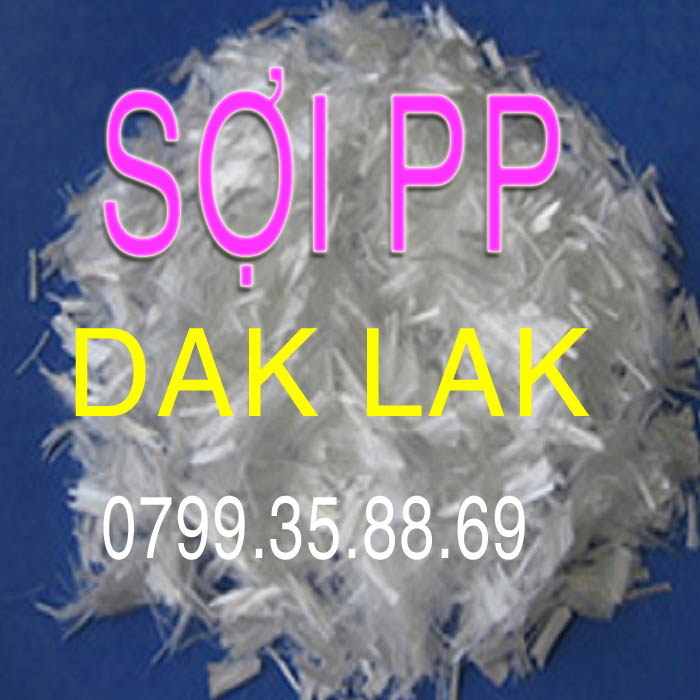 Soi pp chong nut be tong dak lak