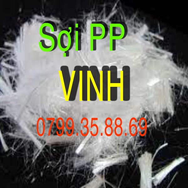 sợi pp vinh