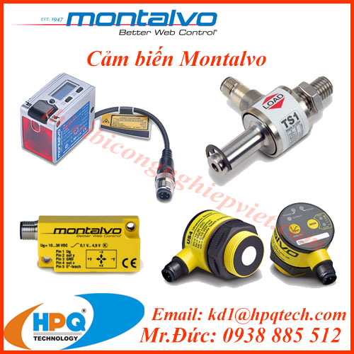 Cảm biến Montalvo - Bộ khuếch đại Montalvo Việt Nam