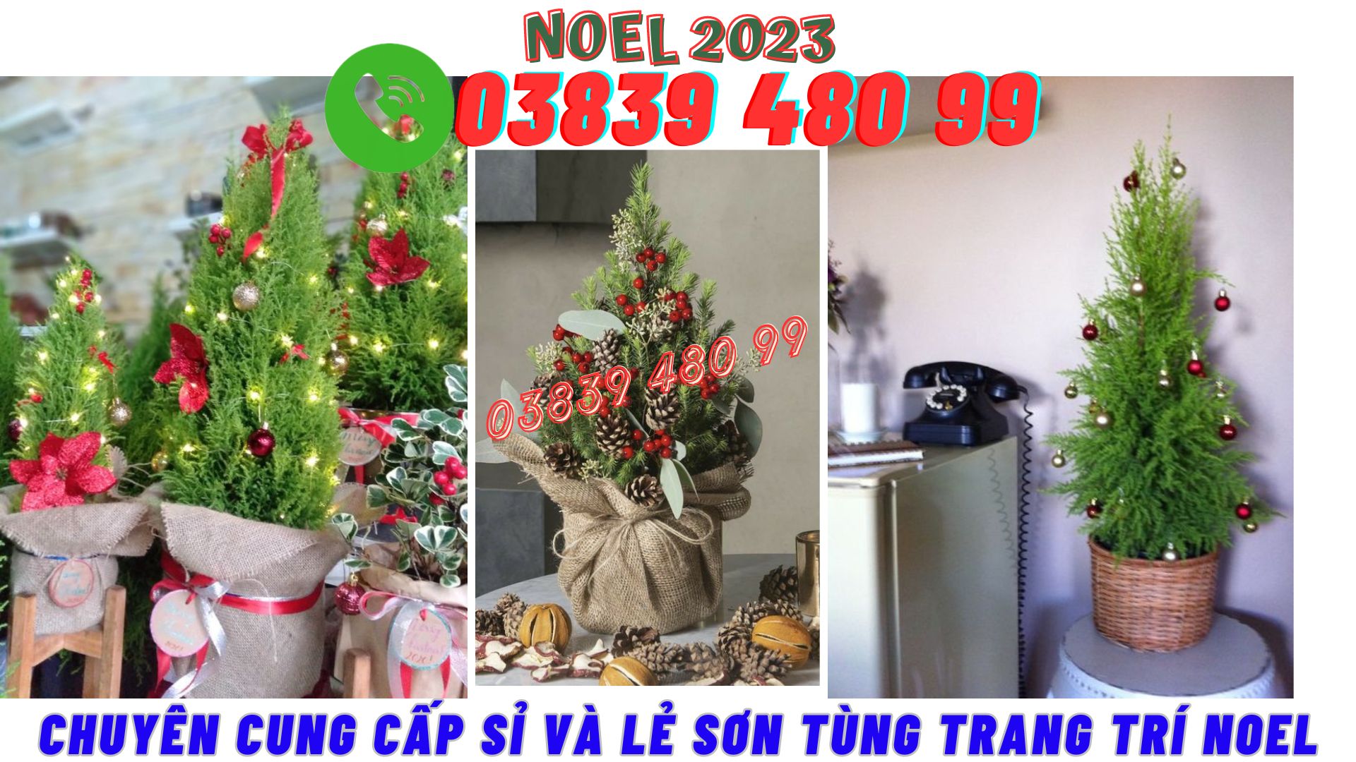 Sơn Tùng Trang Trí Lễ Noel