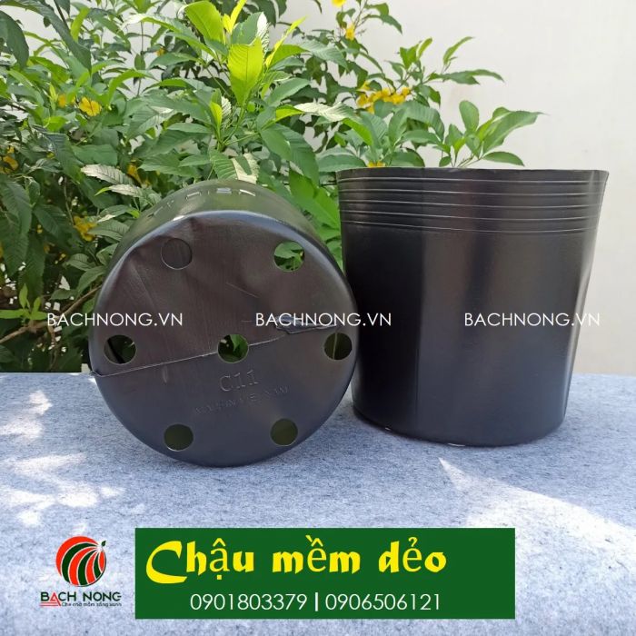 Chậu nhựa mềm trồng cây