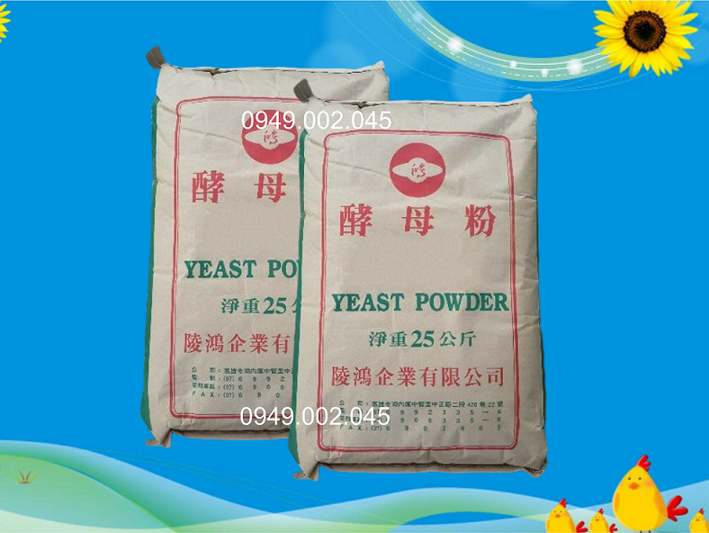 Yeast powder - Hỗ trợ nong to đường ruột tôm