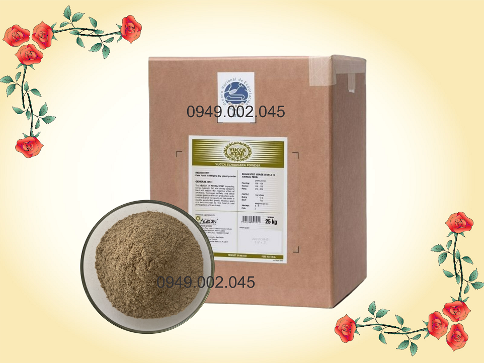 Yucca Star Powder: Yucca bột nhập khẩu Mexico