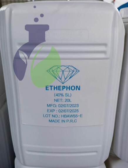 ETHEPHON 40% - điều hòa sinh trưởng thực vật