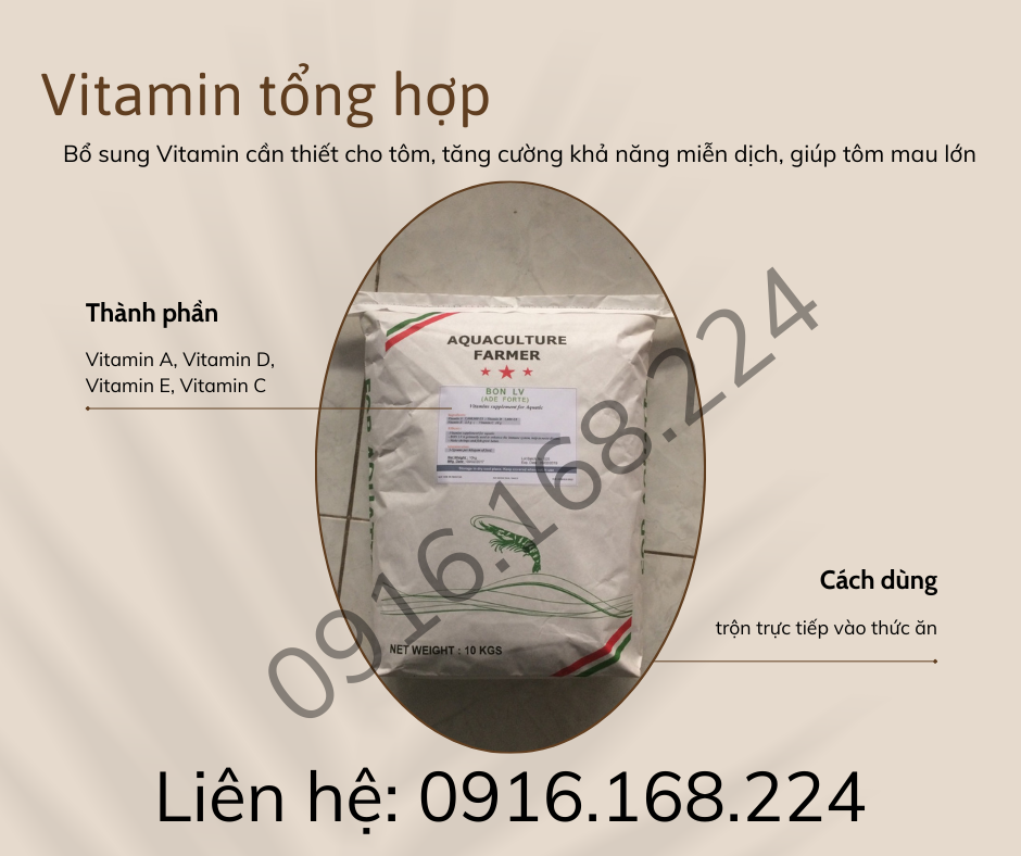 BON LV – Vitamin tổng hợp