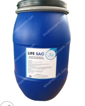 LIFE SAC: NẤM MEN DÙNG ĐỂ PHÂN HUỶ NẤM ĐỒNG TIỀN