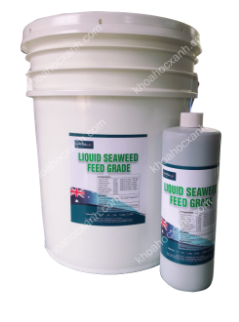 LIQUID SEAWEED FEED GRADE – Chiết xuất 100% từ tảo biển hữu cơ