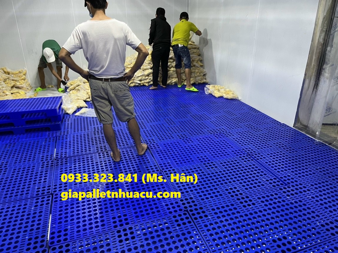 Phân phối pallet nhựa tại Hậu Giang giá tốt, chỉ từ 180K - LH 0933323841