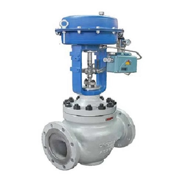 Globe Control Valve