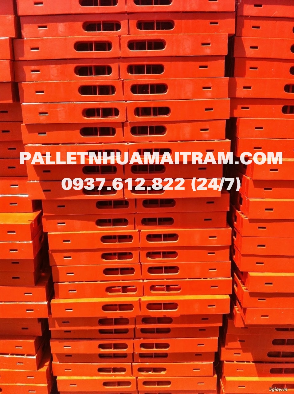 Mua bán pallet nhựa cũ Tiền Giang chất lượng uy tín