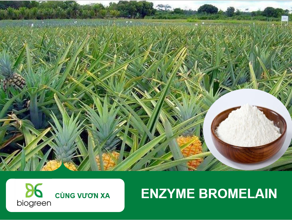 Bromelain